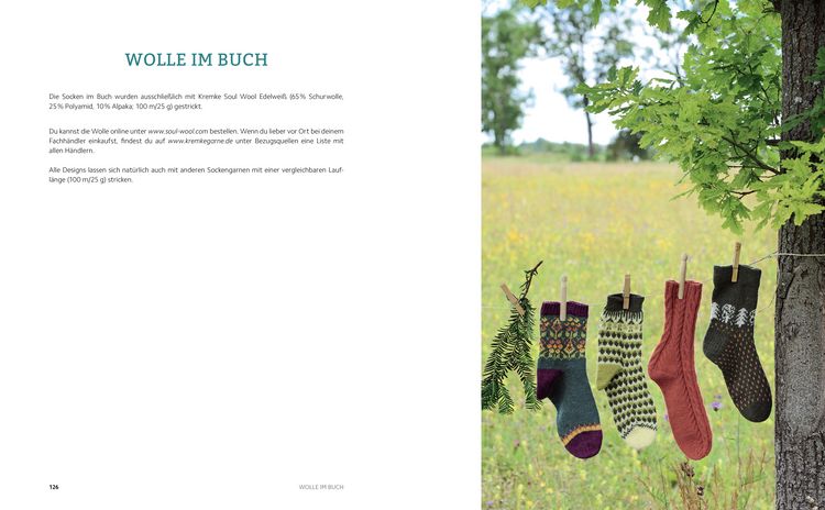 Produktbild: Landschaften auf den Socken. Von der Natur inspirierte Strickmuster.