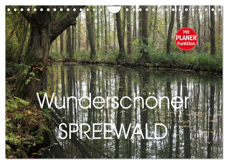 Produktbild: Wundersch&ouml;ner Spreewald (Wandkalender 2026 DIN A4 quer), CALVENDO Monatskalender