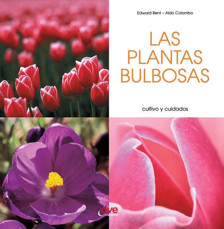 Produktbild: Las plantas bulbosas - Cultivo y cuidados