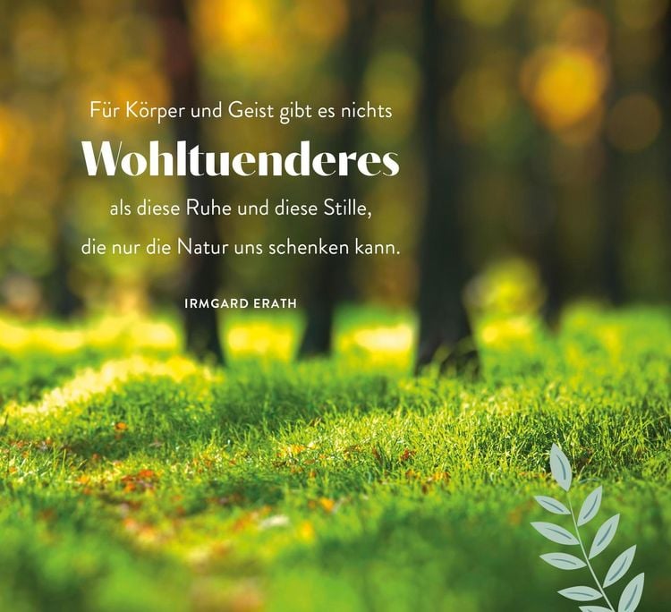 Produktbild: Sonnenschein für jeden Tag