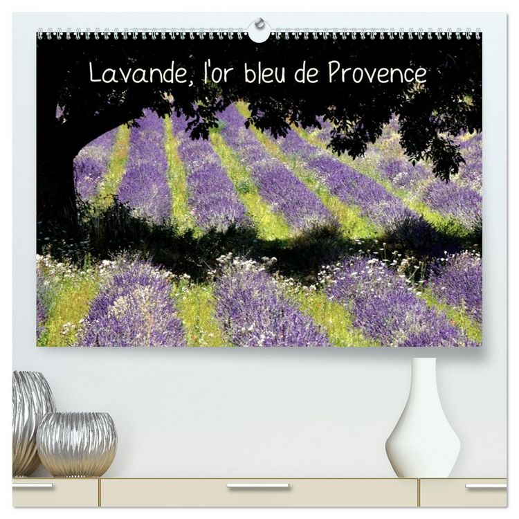 Produktbild: Lavande, l'or bleu de Provence (Calendrier mural 2026 DIN A2 vertical) calendrier de bureau