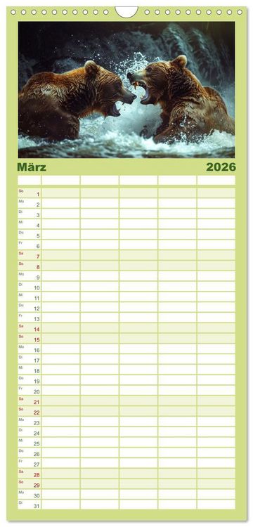 Produktbild: Familienplaner 2026 - Wildes B&auml;renland mit 5 Spalten (Wandkalender, 21 x 45 cm) CALVENDO