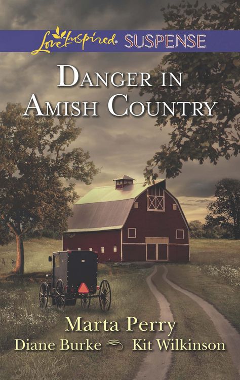Produktbild: Danger in Amish Country