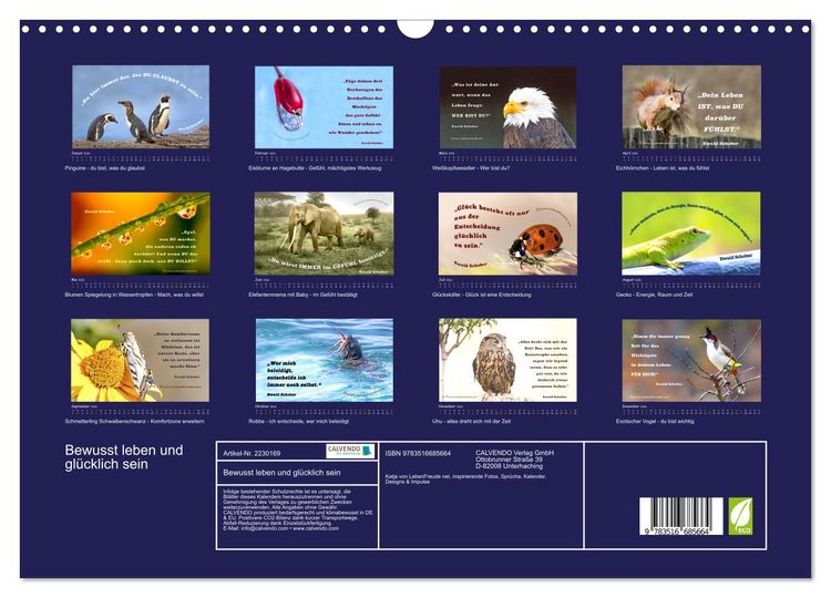 Produktbild: Bewusst leben und gl&uuml;cklich sein (Wandkalender 2026 DIN A3 quer), CALVENDO Monatskalender
