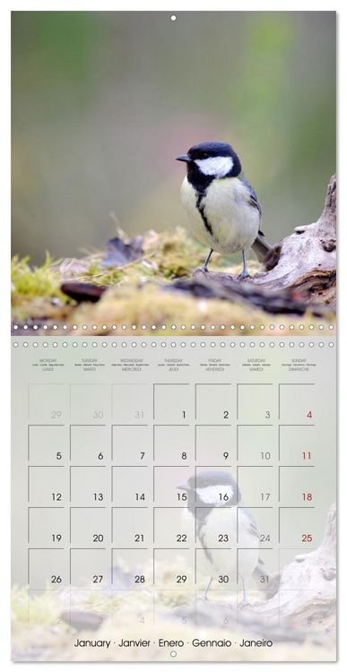 Produktbild: Le jardin des m&eacute;sanges (Calendrier mural carr&eacute; 2026 30x30 cm) Calendrier double avec une page pour vos prises de notes