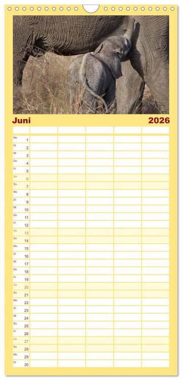 Produktbild: Familienplaner 2026 - Tierbabys 2026 mit 5 Spalten (Wandkalender, 21 x 45 cm) CALVENDO