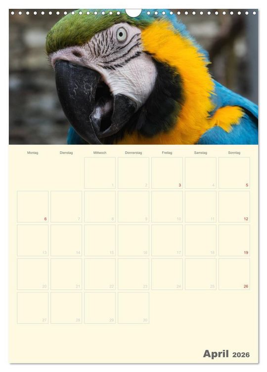 Produktbild: Kunterbunter Papageien-Planer (Wandkalender 2026 DIN A3 hoch), CALVENDO Monatskalender