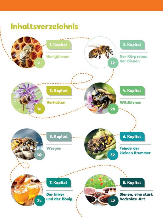 Produktbild: Leselauscher Wissen: Bienen