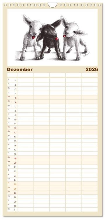 Produktbild: Familienplaner 2026 - owls & friends 2026 mit 5 Spalten (Wandkalender, 21 x 45 cm) CALVENDO