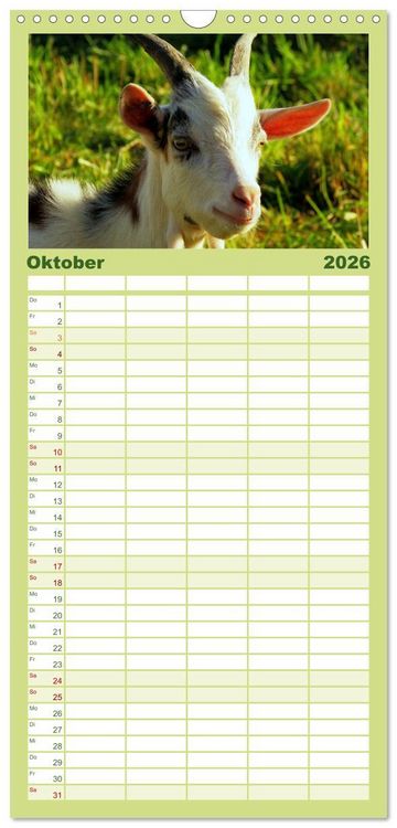 Produktbild: Familienplaner 2026 - Wer zickt denn da? Mit Ziegen durchs Jahr mit 5 Spalten (Wandkalender, 21 x 45 cm) CALVENDO