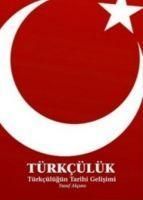 Produktbild: T&uuml;rkc&uuml;l&uuml;k; T&uuml;rkc&uuml;l&uuml;g&uuml;n Tarihi Gelisimi