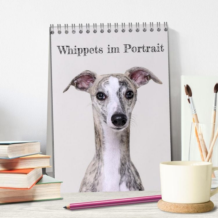 Produktbild: Whippets im Portrait (Tischkalender 2026 DIN A5 hoch), CALVENDO Monatskalender