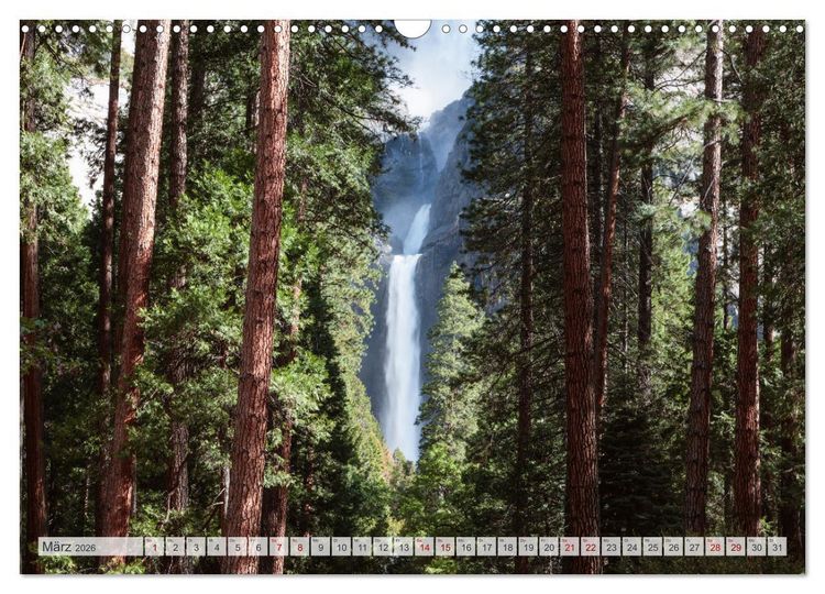 Produktbild: W&auml;lder der Welt (Wandkalender 2026 DIN A3 quer), CALVENDO Monatskalender