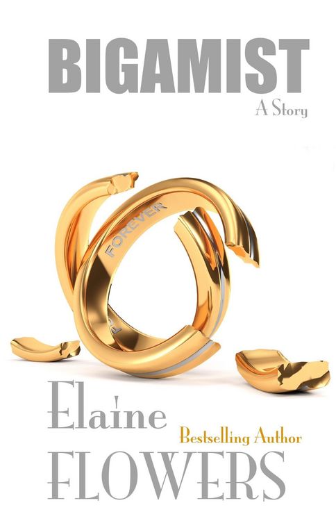 Produktbild: Bigamist: A Story