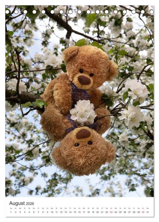 Produktbild: Travelling Teddy liebt Blumen und Bl&uuml;ten (Tischkalender 2026 DIN A5 hoch), CALVENDO Monatskalender