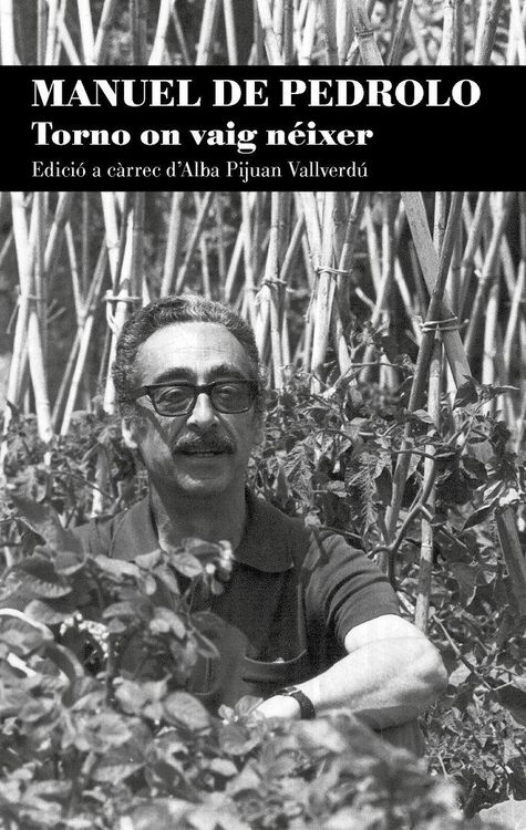 Produktbild: Manuel de Pedrolo. Torno on vaig n&eacute;ixer