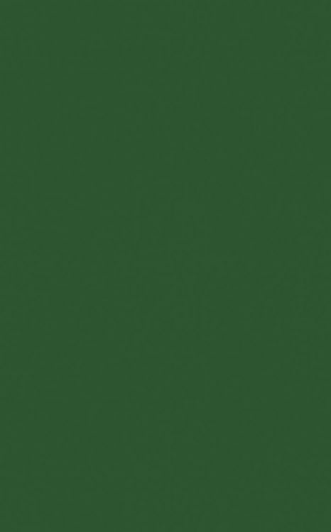 Produktbild: Enzyme Chemistry of Phenolic Compounds