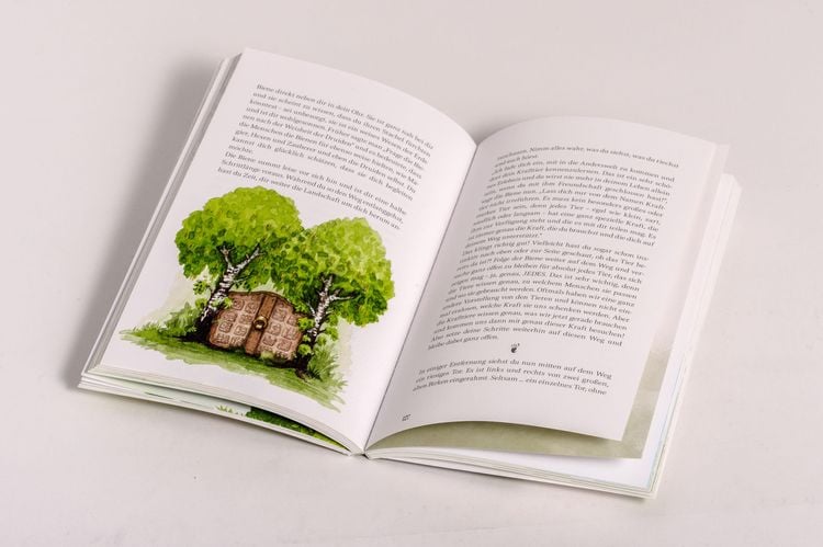 Produktbild: Zauberwald & Zwergenkraft