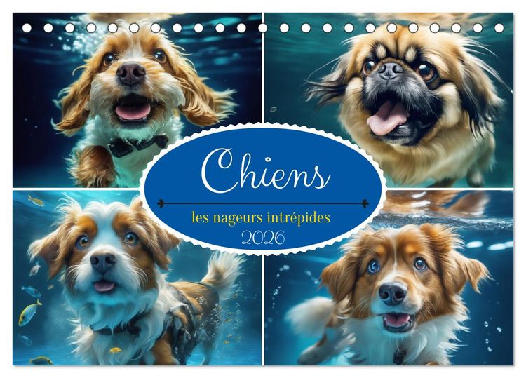 Produktbild: Chiens : les nageurs intr&eacute;pides (Calendrier de bureau 2026 DIN A5 vertical), CALVENDO calendrier mensuel