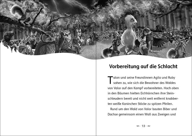 Produktbild: Der letzte Feuerfalke und die dunkle Magie (Band 6)
