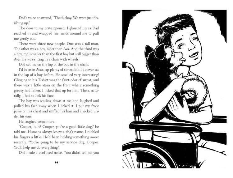 Produktbild: A Cooper's Story