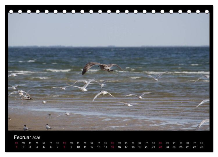 Produktbild: Texel, eine Perle Hollands (Tischkalender 2026 DIN A5 quer), CALVENDO Monatskalender