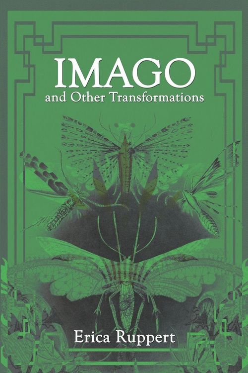 Produktbild: Imago and Other Transformations