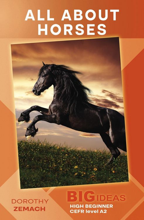 Produktbild: All About Horses (Big Ideas: High Beginner)