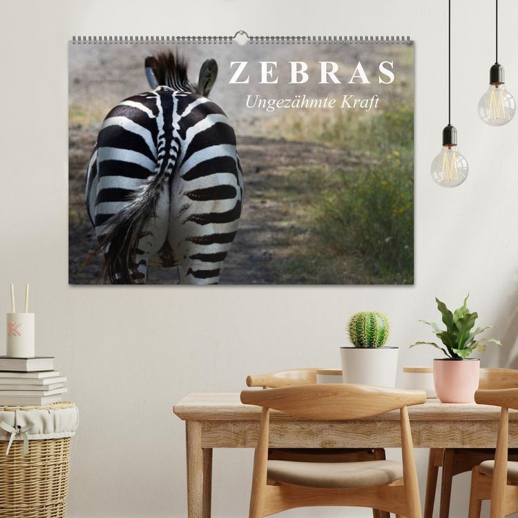 Produktbild: Zebras - Ungez&auml;hmte Kraft (Wandkalender 2026 DIN A2 quer), CALVENDO Monatskalender