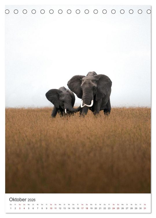 Produktbild: Elefanten - Die Herzeroberer der Tierwelt. (Tischkalender 2026 DIN A5 hoch), CALVENDO Monatskalender