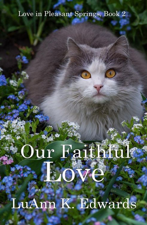 Produktbild: Our Faithful Love