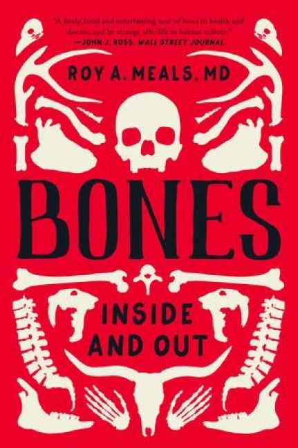Produktbild: Bones