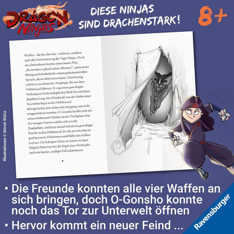 Produktbild: Dragon Ninjas, Band 5 - Der Drache der Schatten