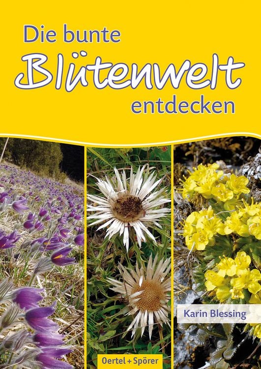 Produktbild: Die bunte Bl&uuml;tenwelt entdecken
