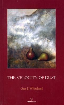 Produktbild: The Velocity of Dust