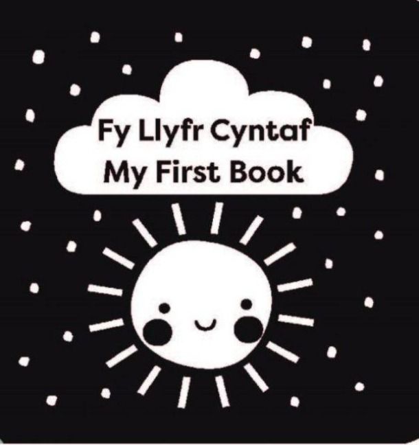 Produktbild: Fy Llyfr Cyntaf / My First Book