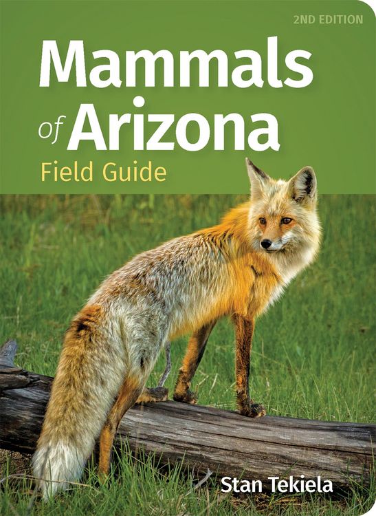Produktbild: Mammals of Arizona Field Guide