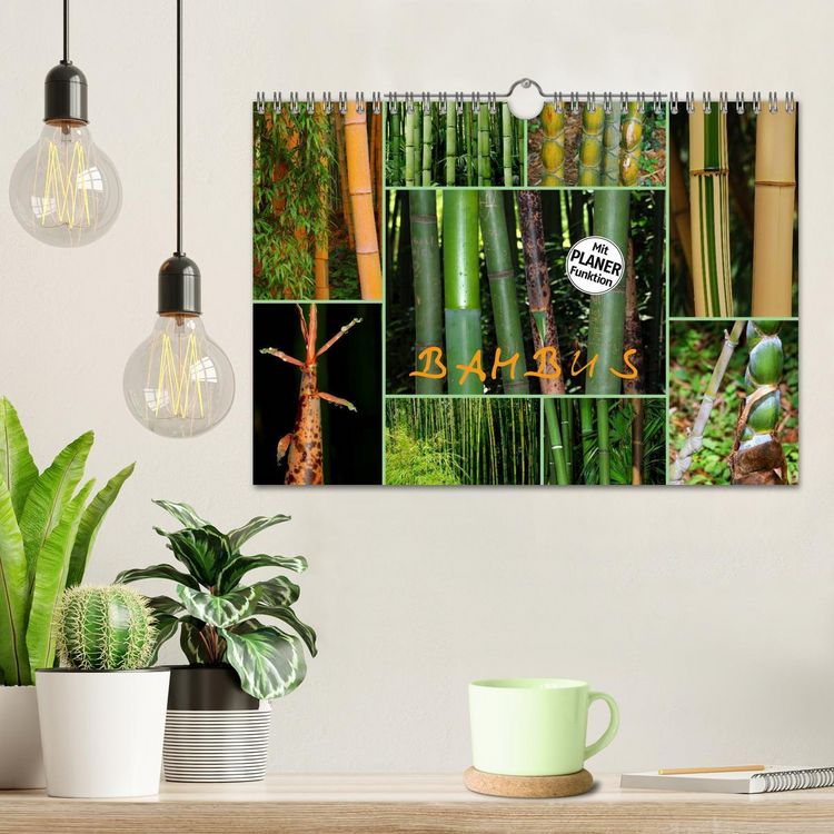 Produktbild: BAMBUS (Wandkalender 2026 DIN A4 quer), CALVENDO Monatskalender