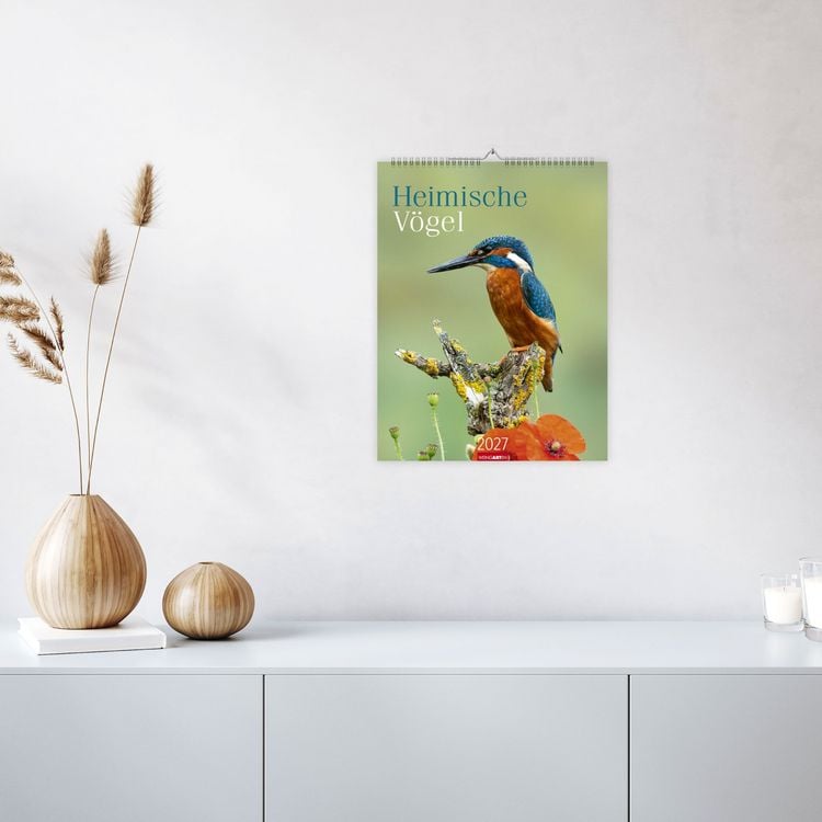 Produktbild: Heimische V&ouml;gel Kalender 2027