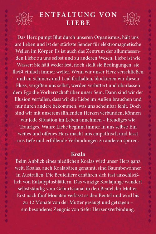 Produktbild: Kraftvolle Organe - &Uuml;bungen und Impulse zur Befreiung von Energieblockaden