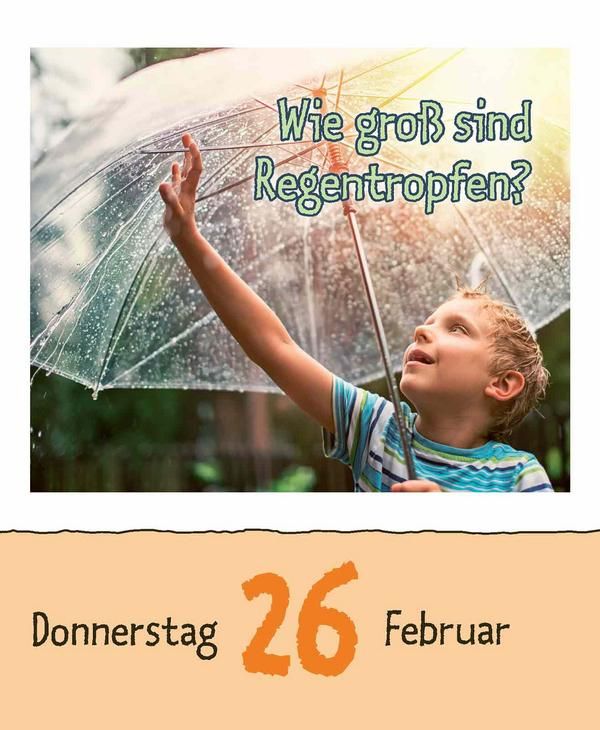 Produktbild: Warum wackelt Wackelpudding? 2026
