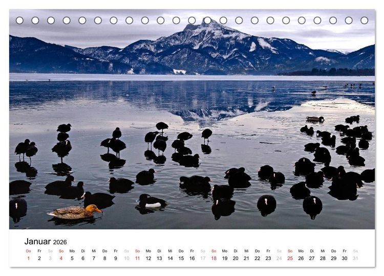 Produktbild: Zauberhaftes Mondseeland (Tischkalender 2026 DIN A5 quer), CALVENDO Monatskalender