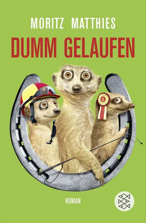 Produktbild: Dumm gelaufen / Ray & Rufus Bd. 3
