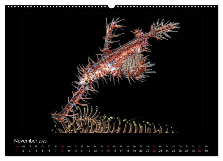 Produktbild: OCEAN - ART (hochwertiger Premium Wandkalender 2026 DIN A2 quer), Kunstdruck in Hochglanz