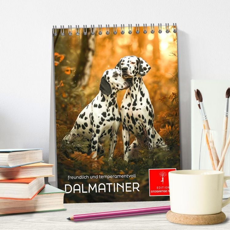 Produktbild: Dalmatiner - freundlich und temperamentvoll (Tischkalender 2026 DIN A5 hoch), CALVENDO Monatskalender