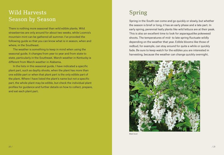 Produktbild: Southeast Foraging