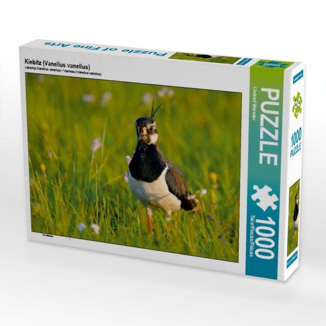 Produktbild: CALVENDO Puzzle Kiebitz (Vanellus vanellus) | 1000 Teile Lege-Gr&ouml;&szlig;e 64x48cm Foto-Puzzle f&uuml;r gl&uuml;ckliche Stunden