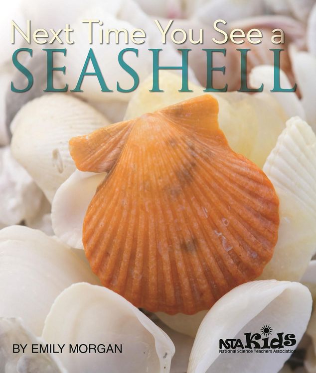 Produktbild: Next Time You See a Seashell