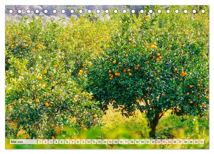 Produktbild: Immer wieder Mallorca (Tischkalender 2026 DIN A5 quer), CALVENDO Monatskalender