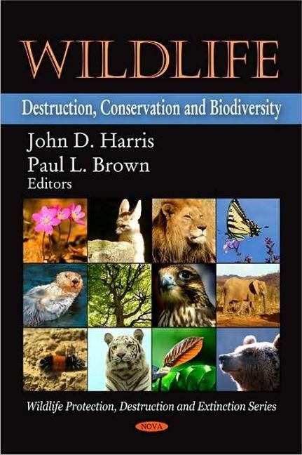 Produktbild: Wildlife